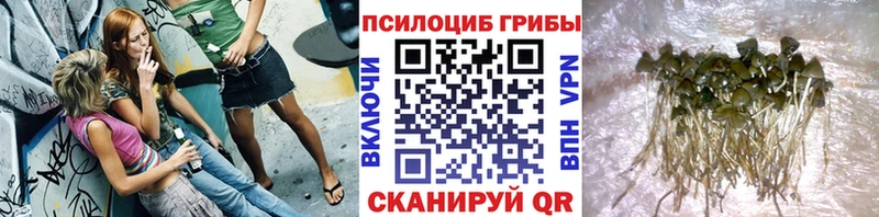 Псилоцибиновые грибы GOLDEN TEACHER kraken сайт Абаза